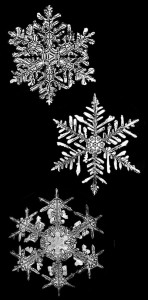 snowflakes