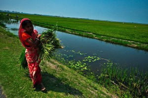 women-and-capacity-building-the-need